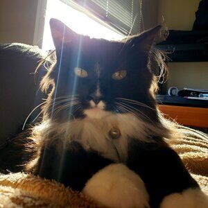 Meet your Posher, Chris